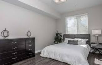 1 bed, 1 bath, 733 sqft, $2,475, Unit 206