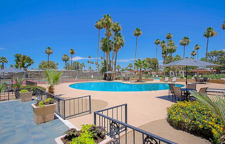 a resort style swimming pool with palm trees in the background