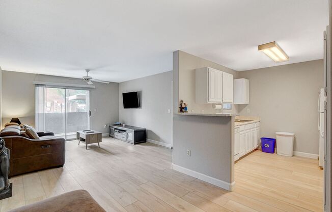 1 bed, 1 bath, $1,200, Unit # 1172