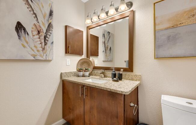 Apartment Bathroom Sink with Wall Art