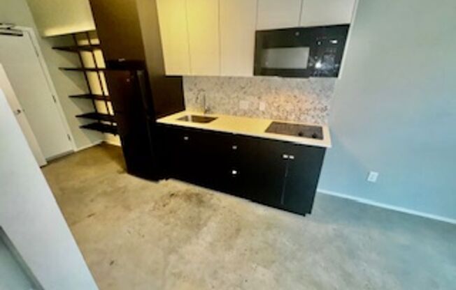 Studio, 1 bath, 326 sqft, $1,395, Unit 313