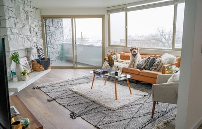1 bed, 1 bath, 526 sqft, $2,100, Unit 409