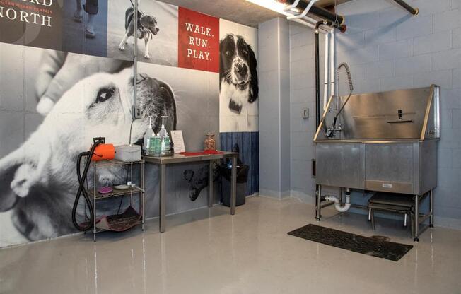 A dog is on a poster in a room with a sink and a mat.