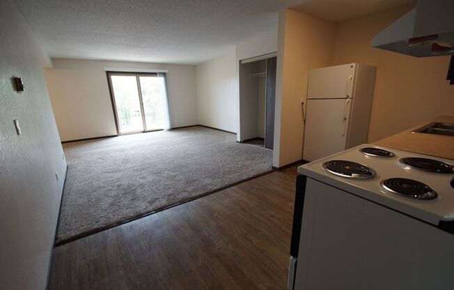 Studio, 1 bath, 710 sqft, $1,194, Unit 307