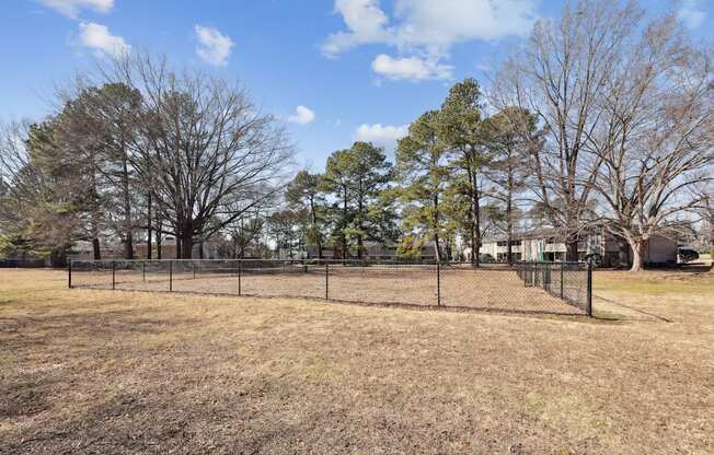 A field with a fence and trees in the background.