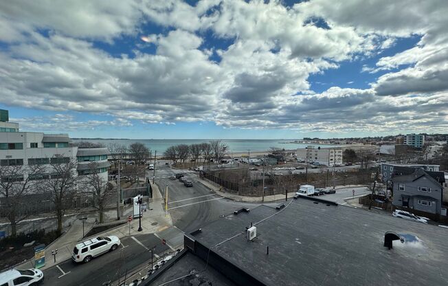 Studio, 1 bath, 345 sqft, $1,900, Unit 504
