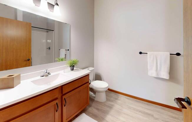 a bathroom with a sink and a toilet and a mirror