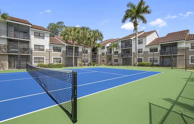 Tropical living in the heart of Hollywood FL