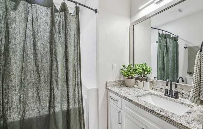A bathroom with a sink, mirror, and a plant.