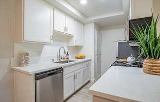 a kitchen with white cabinets and a stainless steel dishwasher