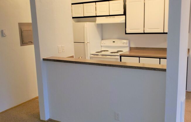 One Bedroom, One Bath - Special $1275.00 and Second Month Free!