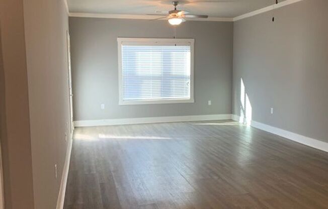 1 bed, 1 bath, 954 sqft, $1,395