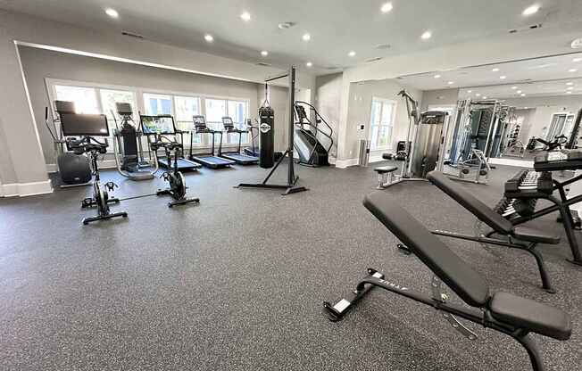 Professional fitness studio with free weights