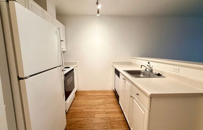 Studio, 1 bath, 483 sqft, $1,450, Unit 308