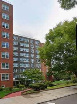 Studio, 1 bath, $1,600, Unit 2W