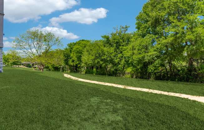 a path through the grass in a park with trees