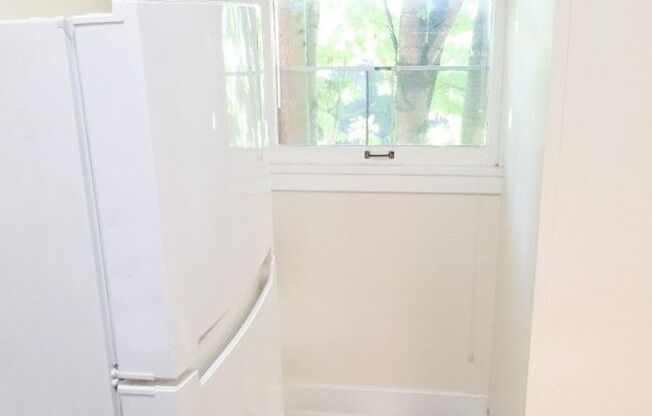 Studio, 1 bath, 365 sqft, $1,195, Unit 204