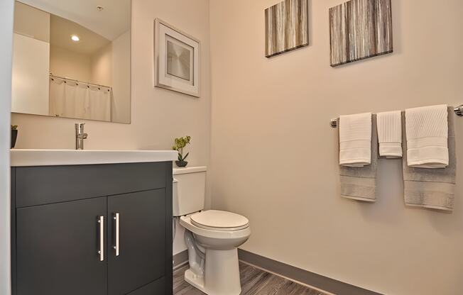 One Mansfield Model Apartment Bathroom with High Quality Finishes