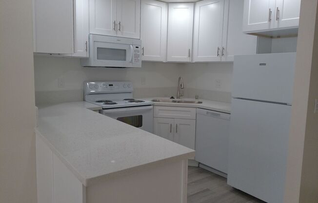 2 beds, 1 bath, 675 sqft, $2,595, Unit 101