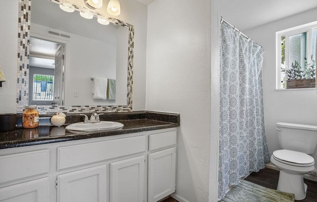 a bathroom with a sink toilet and a shower