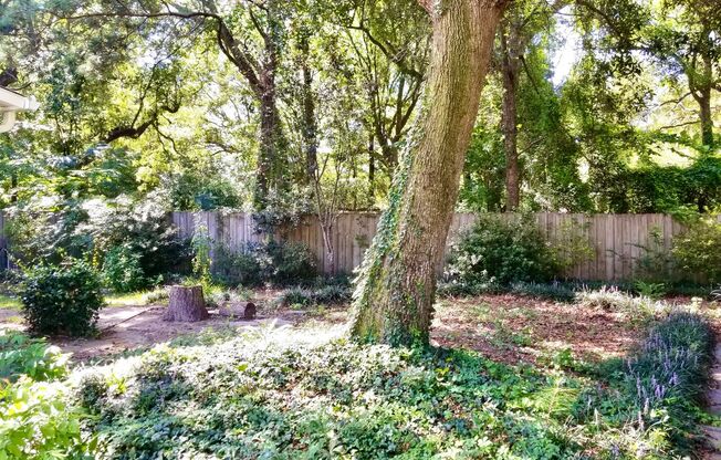 4 beds, 2.5 baths, $3,300