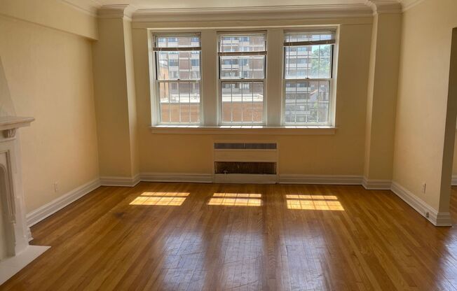1 bed, 1 bath, 985 sqft, $1,510, Unit New King Edward  707