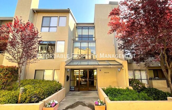 39224 Guardino Drive #203