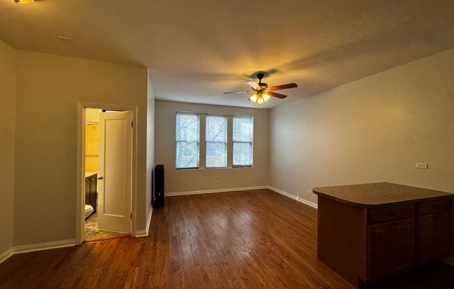Studio, 1 bath, 450 sqft, $1,375, Unit 308