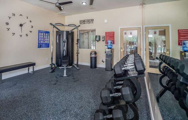 A gym with a row of dumbbells on the right and a bench on the left.