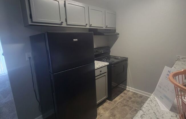 1 bed, 1 bath, 615 sqft, $695, Unit 1113-304