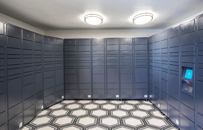 Package Locker at Latitude 2976, Houston, TX 77042