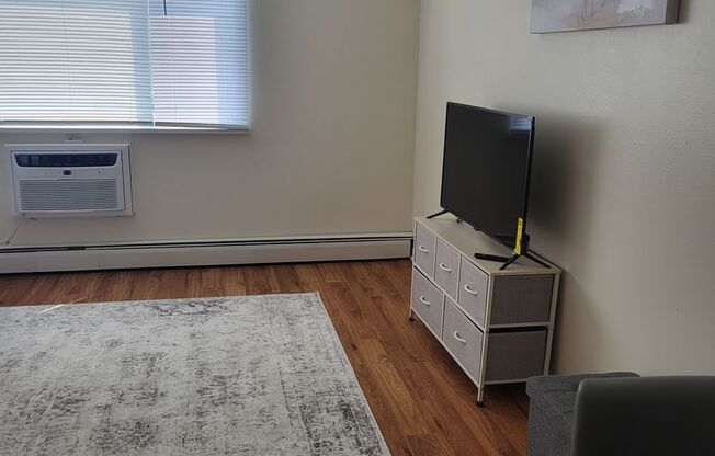 Studio, 1 bath, $980, Unit 203