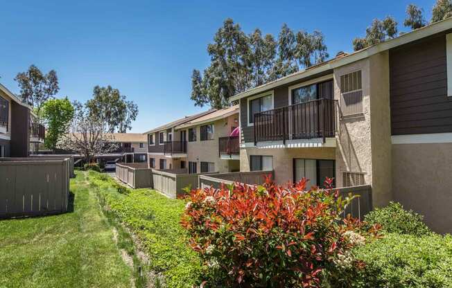 Serrano Highlands Apartments | Apartments in Lake Forest | Flowers