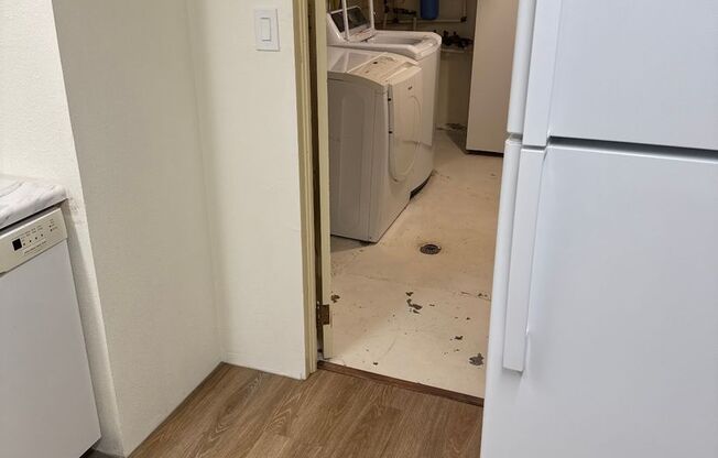 North End Apartment Basement Gem