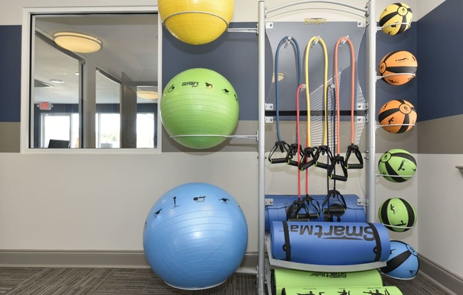 a rack of exercise equipment with a blue exercise ball and green exercise ball next to a rack