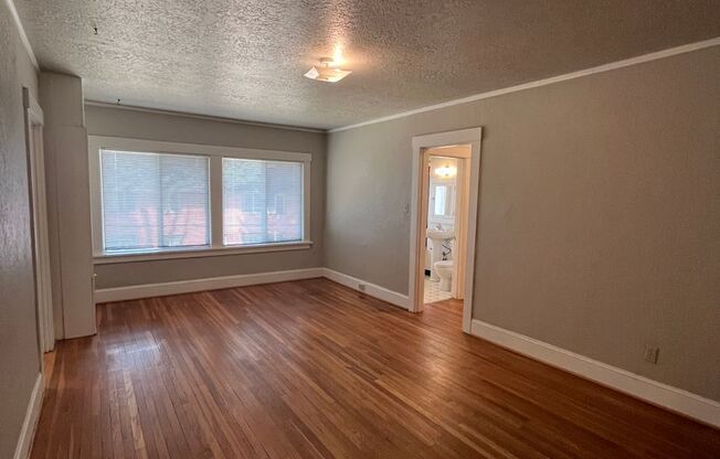 Studio, 1 bath, $1,295, Unit 22