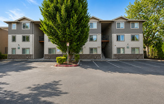 Johnson Street Apartments - Two Bed, One Bath Units Available Now!