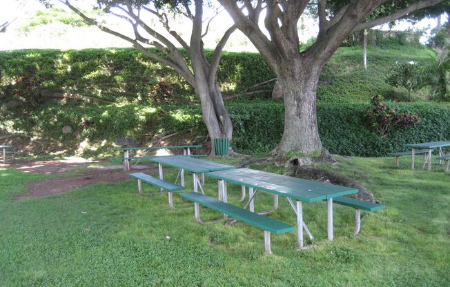 Studio, 1 bath, $1,500, Unit # 1404A