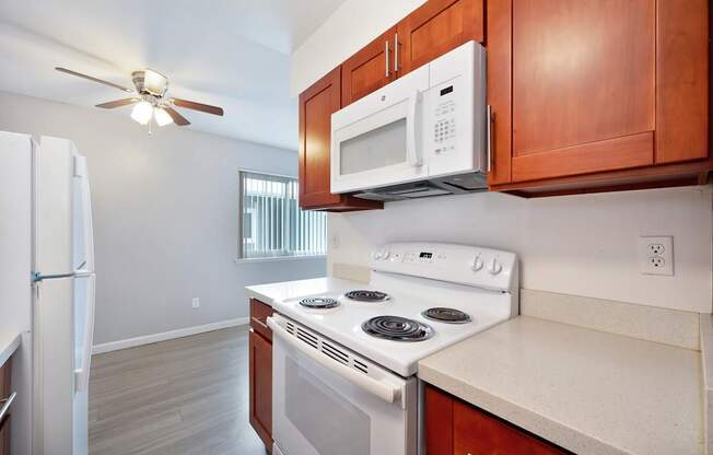 The Canopy | Kitchen