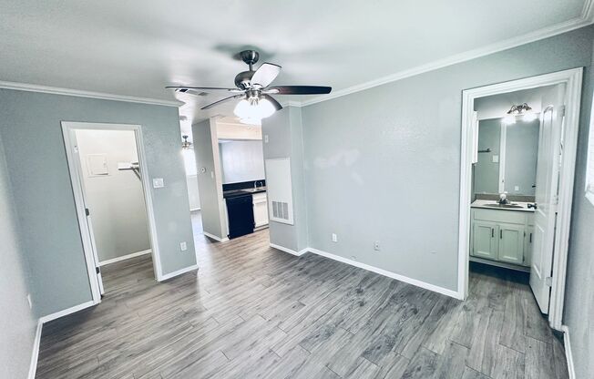 Studio, 1 bath, 500 sqft, $795, Unit 118
