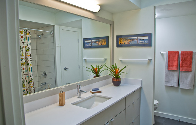 Gallery Photo 2