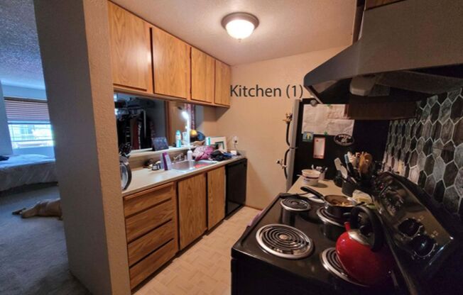 1 bed, 1 bath, 442 sqft, $1,485, Unit A301