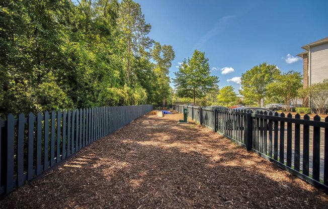 A long, narrow pathway flanked by trees and fences.