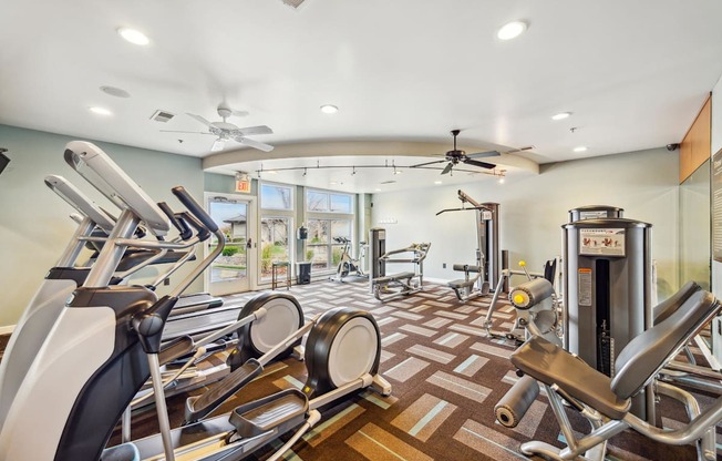 Aventura Falcon Valley