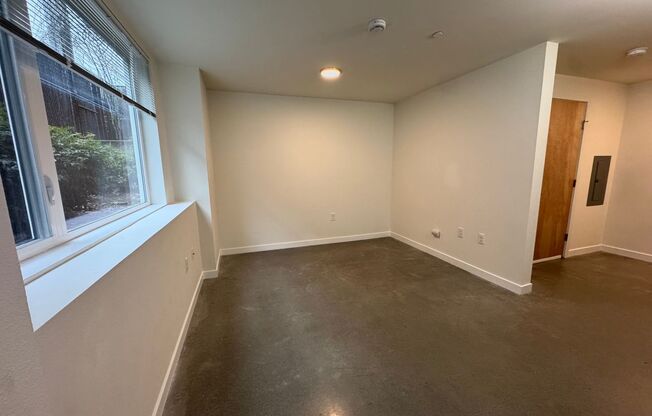 Studio, 1 bath, 248 sqft, $1,295, Unit B09