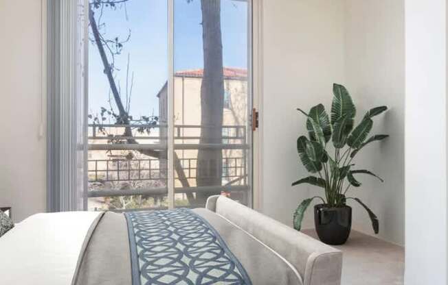 A bedroom with a bed, a couch, and a potted plant.