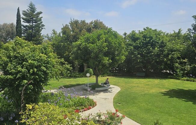 1 bed, 1 bath, 805 sqft, $3,500, Unit 210