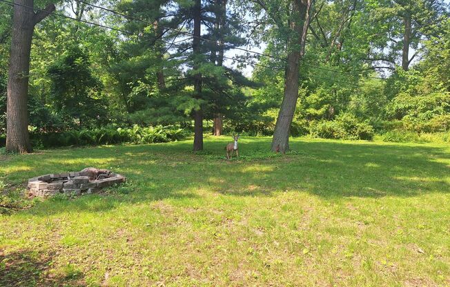 3 bedroom home in Southfield with sprawling yard.  A must see!!