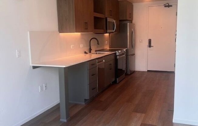 1 bed, 1 bath, 478 sqft, $2,495, Unit 204