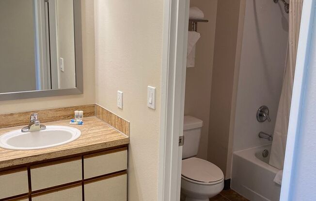 1 bed, 1 bath, 410 sqft, $1,425, Unit 203